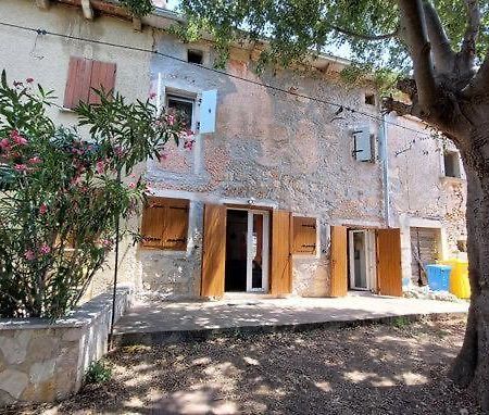 Bonvivan House Diminići Zewnętrze zdjęcie